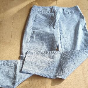 Ann Taylor Light Blue Striped Chinos